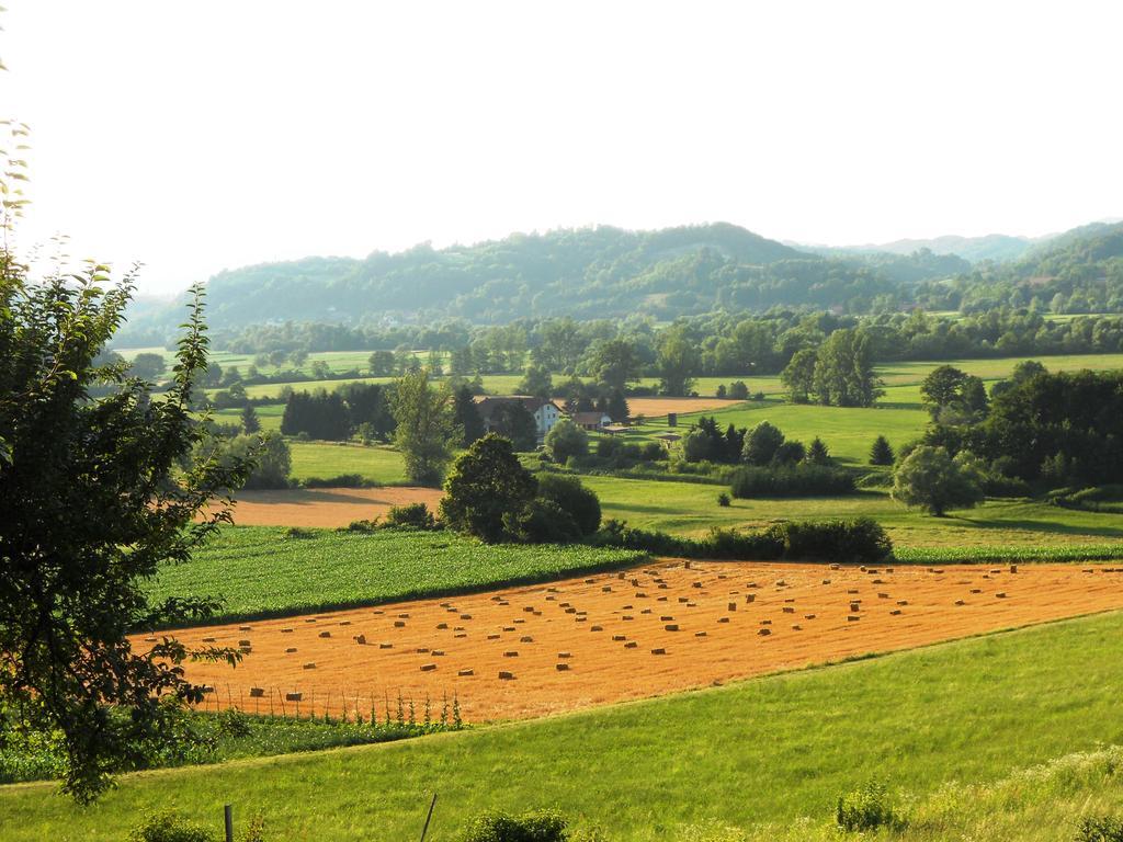 Farm Stay Kramer Bistrica ob Sotli Exterior foto